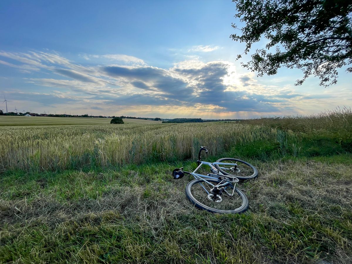 A corn field with dramatic sky and the Strael bicycle laying in front
